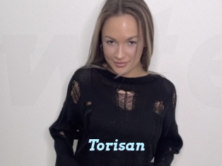 Torisan