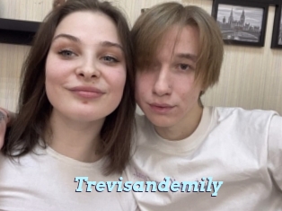 Trevisandemily