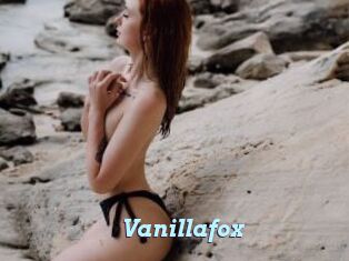 Vanillafox