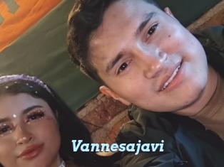 Vannesajavi