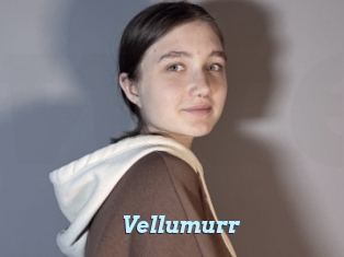 Vellumurr