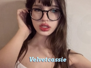 Velvetcassie