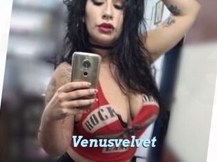 Venusvelvet