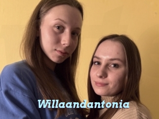 Willaandantonia