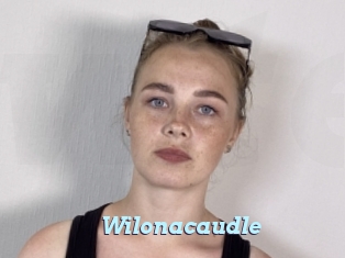 Wilonacaudle