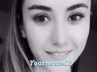 Yourmouse23